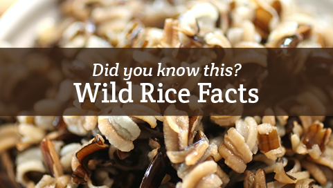 Facts about Wild Rice