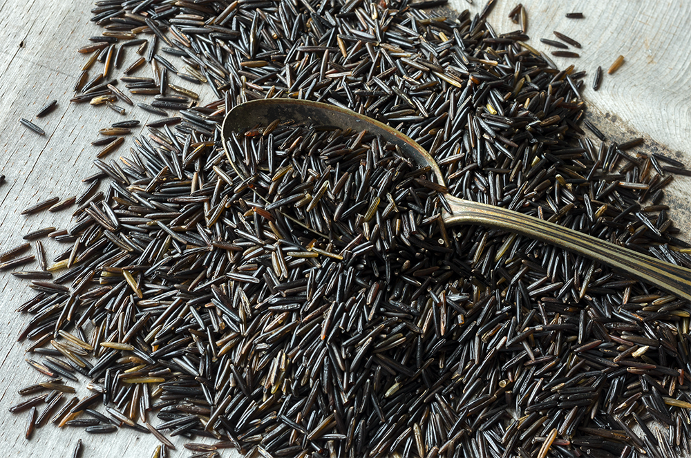 Canoe Wild Rice