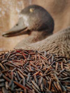 Specialty Wood Parched Wild Rice